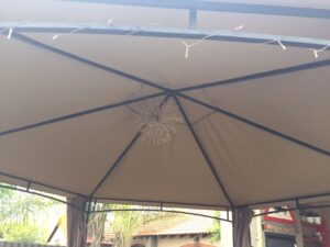 IMG 1245 M3fwo1sq 300x225
